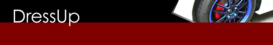 HONDA FIT RS GE8 5MT TYPE R ドレスアップ